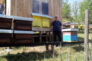 Pčelarstvo u BIH