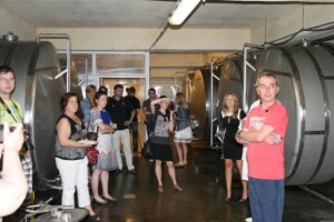 Carstvo proizvoda od meda - Apis Lublin