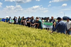 Dan polja pšenice tvrtke Axereal Croatia