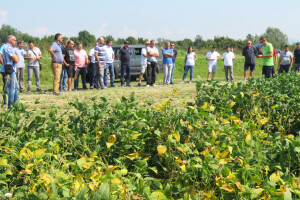 Dan polja kukuruza, soje i suncokreta Axereal Croatia