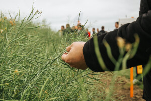 KWS Centralni dan polja