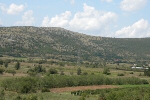 Voćari Zagore se okreću uzgoju bajama