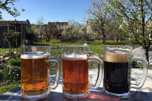 Marko Barčan, iz medija u pivare