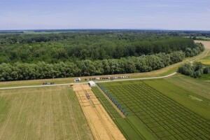 BASF Dani polja u Vaškoj 2022.