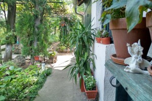 Cvjetni vrt Milice Arsić iz Topole, pobjednice konkursa #najokućnica Agrokluba