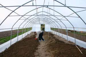 Željeli su zdravo povrće - danas ga sami sade