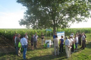 Bayer Dani vinograda 2014.