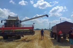 Bc Institut: Žetva pokusnog polja u Starom Topolju