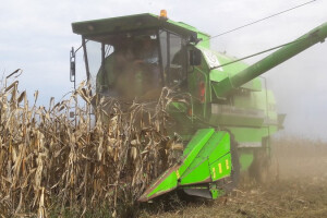 Dan polja Bc Hibrida kukuruza u Lovasu
