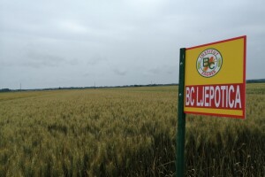 Dan polja Bc Instituta u Međimurju