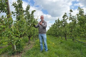 Belgijski voćar Bart Van der Straeten