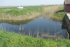 Navodnjavanje Slavonije i Baranje