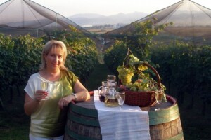 Brdovečka tradicionalna manifestacija berbe