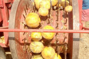 Proizvodi OPG Kovač