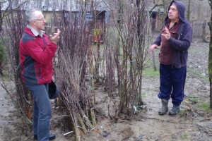 Čarobni voćnjak Vahida Beširevića