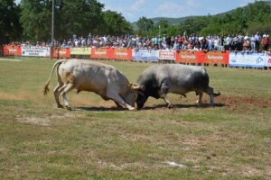 22. bikijada i seoska olimpijada