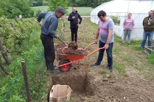 Biodinamička poljoprivreda