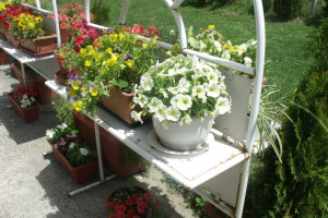 Seljačko gospodarstvo Ana