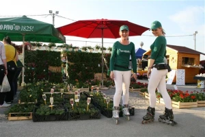 Agroklub hostese u akciji