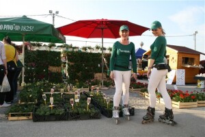 Agroklub hostese u akciji