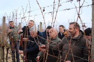 Vinkovo 2025 na pokušalištu FAZOS-a