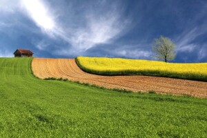 RuralFoto TOP 10 #Priroda