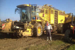 Vađenje šećerne repe