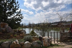 Baš Bašča: Šefket Hrustanović danas uživa u plodovima svog predanog rada