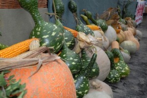 Znanstvenici potvrdili da bučino ulje pridonosi zdravlju