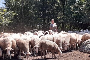 OPG Jadova Sandre Novković Privratcki