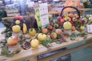 Jabučini dani u Đakovu