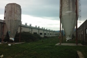 Poljoprivreda u zaleđu Biograda i Šibenika