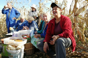 Berba stare sorte kukuruza Udruge žena Pušćine