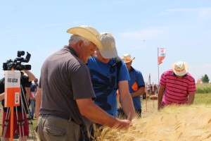 Centralni KWS dan polja