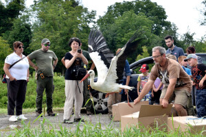 Čigoč, prvo europsko selo roda