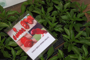 "Floraart", 52. međunarodna vrtna izložba