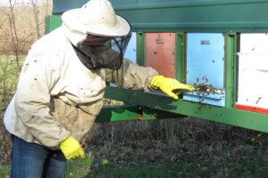 Pčelarstvo i vremenske (ne)prilike