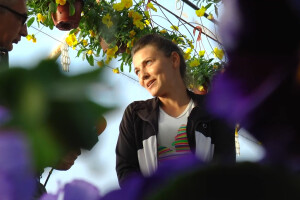 Plastenik cveća porodice Pavlović iz Platičeva