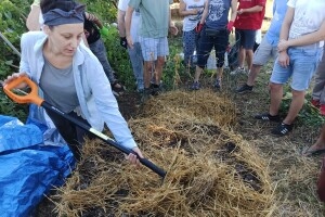 Vrućim kompostiranjem brzo do kvalitetnog supstrata i zimi