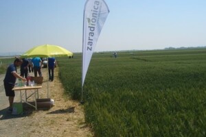 Syngenta zaradionice