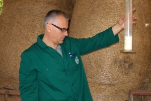 Europa je gladna kozjeg mlijeka