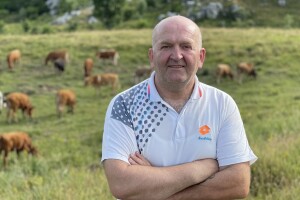 500 goveda na Čemernici obitelji Tešija