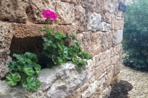 Dalmatinsko Etno selo