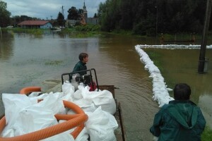 Kukuruz spreman za berbu - a voda ne odlazi!