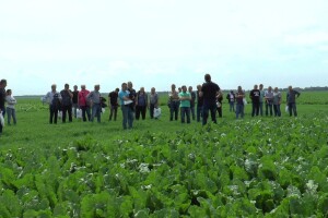 Dan polja šećerne repe