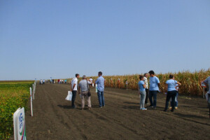 Dan polja prolećnih kultura