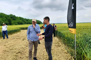 Dan polja strnih žitarica Bc Instituta u Lovasu