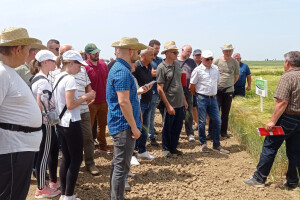 Axereal Croatia: Dan polja pivarskog ječma