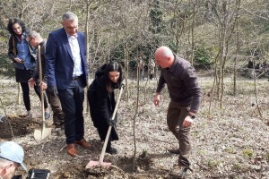 Dan šuma uz sadnju 200 stabala hrasta