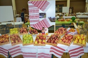 Dani jabuke u Požegi